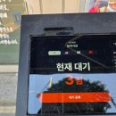 안동식당 | 안동 일직식당 후기 ❘ 고등어는 맛있었지만 아쉬움도 있었던 블루리본 맛집