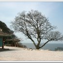 망해사 - 1308 | 망해사