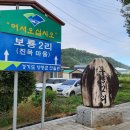 보룡(진목)