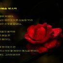 눈봄