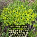 그루터기