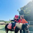 아인슈타인유치원 이미지