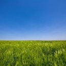 전라도농장 이미지