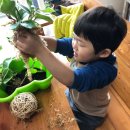 아이와 함께 생활 원예 이미지