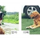 하늘아래 첫동네 꿩밭 이미지