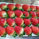 김성섭 농장 이미지