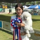 D-Style(디스타일) 이미지