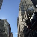 반월햇빛작은도서관 뒤 | 길거리 구경, 조스피자, 뉴욕공립도서관, 모마미술관, 엠파이어 스테이트 빌딩, 울프강 스테이크 방문후기