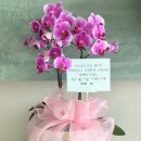 인스나인유치원 이미지