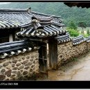 담 Daum카페