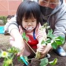 👨‍🌾올리브 친구들의 딸기 모종 심기👩‍🌾 이미지