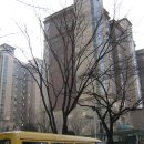 궁전예가 이미지