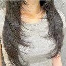 (주)허쉬 | 청주미용실추천 허쉬컷 후기 메모