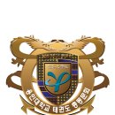 용인대 아이캔 태권도 이미지