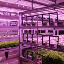 광(光)농장 이미지