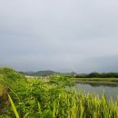 상대교 티스토리