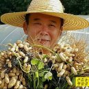 은행정농장 이미지