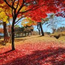 경천대관광지 이미지