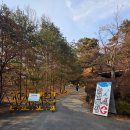 장수월드 | 영주 장수조이월드 눈썰매장 후기