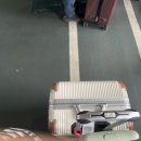 세븐카 | 250526-30 도쿄 4박5일 여행기.