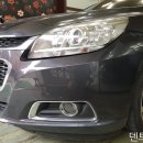 아이덴트칼라