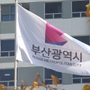 수형건설기계