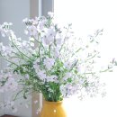 송현농장 이미지