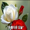 온다네일