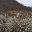 백운산민박 이미지