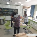 낭성초등학교 이미지