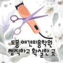 김성균애견미용학원 이미지
