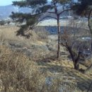 토지매수계약할때 토지이용계획확인서 열람하는 목적과 열람시 주의사항 이미지