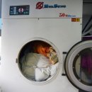 세탁 테라스 이미지