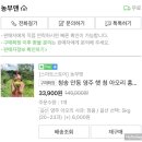 온라인팜스토어 이미지