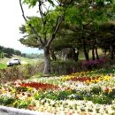 자유건설(주)