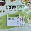 힐스템