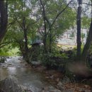 포휴하우스 이미지