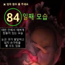 말해주기도 그렇고~불임과 건강교육 이미지