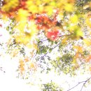 햇살한스푼 이미지