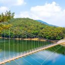 장성호수변길 이미지