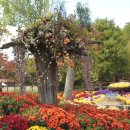 대궐파크 이미지