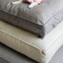 디엔씨펫 이미지