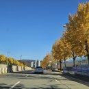 경기도 수원시 장안구 천천로 240 | 가족 외식하기 좋은 곳, 수원 추오정추어탕