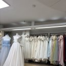 메리코코 | 8️⃣ ] 메리코인비 내돈내산💍 / 본식드레스 피팅 및 계약 후기 / 가성비 본식드레스 추천 / 플래너 없이...