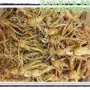 금산인삼 이미지