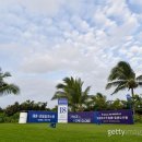 블루베이 이미지