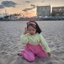 자작도 하우스 이미지