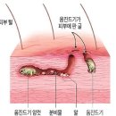 세종특별자치시보건소 이미지
