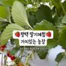 평궁길 이미지