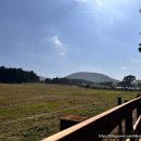 이시돌목장 | 🐴 11월 제주도 아이랑 가볼만한 곳, 제주 이시돌 목장 후기 (우유 아이스크림 맛집 인정!)